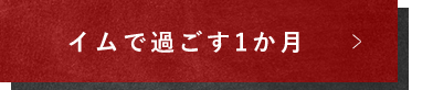 イムの使い方をご紹介